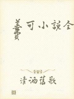 姜可小说全文免费封面