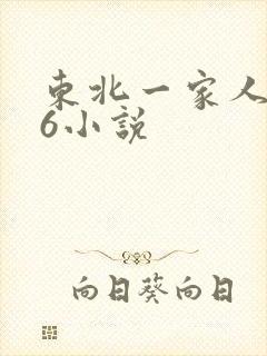 东北一家人1一6小说
