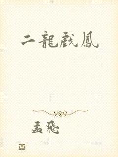 二龙戏凤