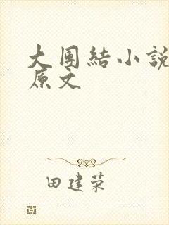 大团结小说阅读原文