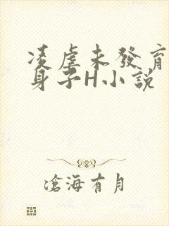 凌虐未发育的小身子H小说封面