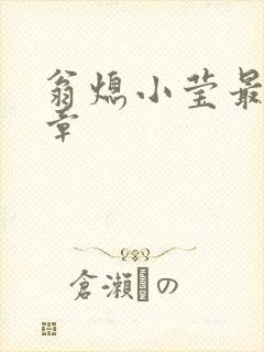 翁熄小莹最新节章