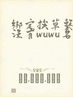 绑定挨草系统后没有wuwu名字