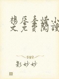 杨辰秦惜小说全文免费阅读完整版