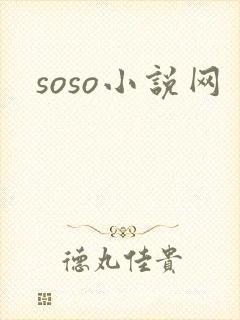 soso小说网