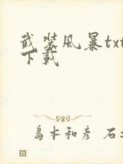 武装风暴txt下载