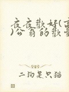 夜夜欢好(高h)公翁的欢爱h