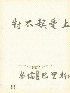 对不起爱上你