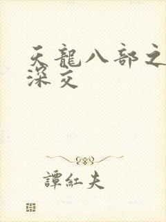 天龙八部之极乐深交封面