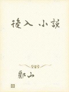 后入 小说封面