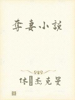 夺妻小说
