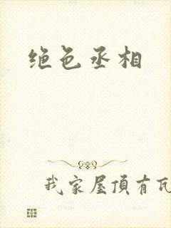 绝色丞相封面