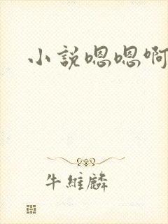 小说嗯嗯啊啊