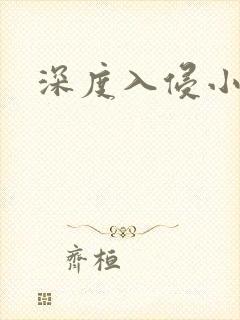深度入侵小说