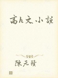 高h文小说