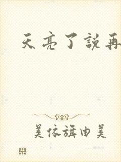 天亮了说再见封面