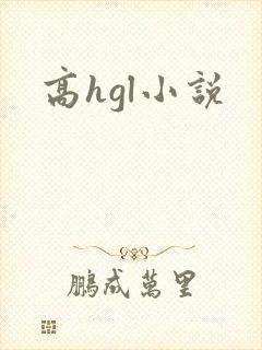高hgl小说