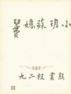 儿媳苏玥小说免费