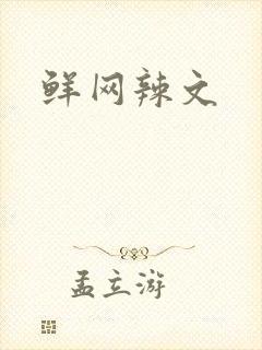 鲜网辣文封面