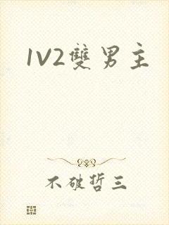 1V2双男主