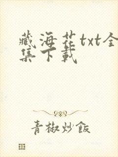 藏海花txt全集下载