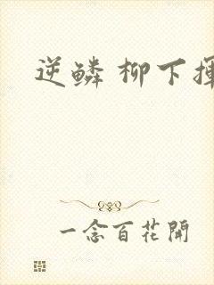 逆鳞 柳下挥