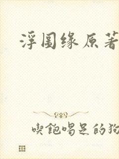 浮图缘原著小说封面