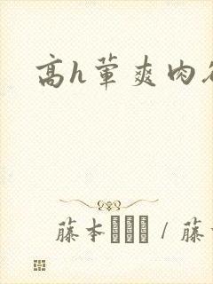 高h荤爽肉欲文