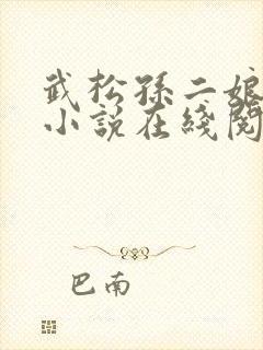武松孙二娘云雨小说在线阅读封面