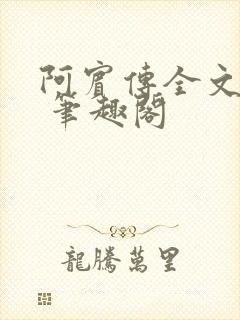 阿宾传全文阅读 笔趣阁