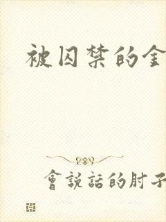 被囚禁的金丝雀
