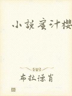 小说蜜汁樱桃封面