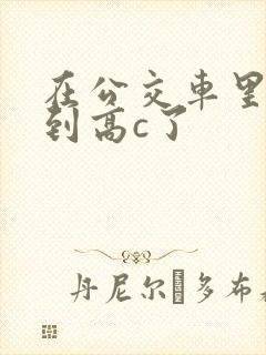 在公交车里c弄到高c了封面