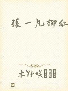 张一凡柳红