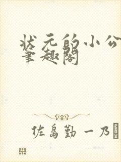 状元的小公主 笔趣阁