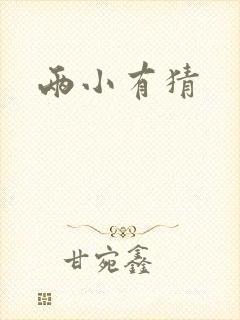 两小有猜封面