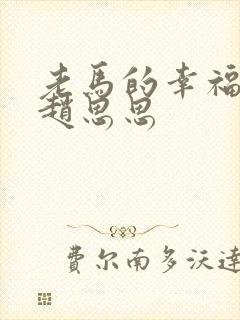 老马的幸福生活赵思思
