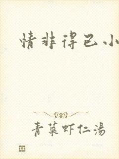 情非得已小说