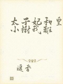太子妃和皇上在小树我离封面