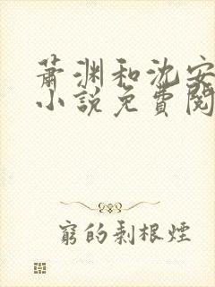 萧渊和沈安安的小说免费阅读封面