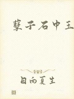 孽子石中玉