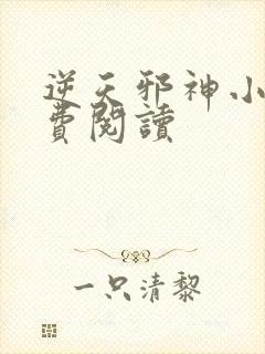 逆天邪神小说免费阅读封面