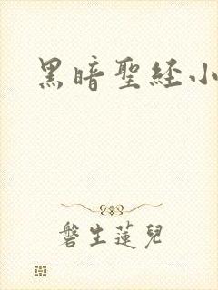黑暗圣经小说