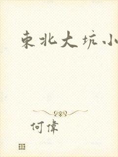 东北大坑小说