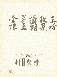 含着摄政王的紫根上朝是啥小说