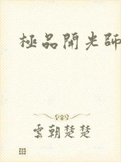 极品开光师