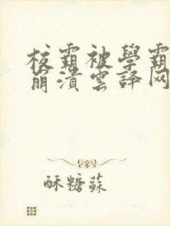 校霸被学霸玩到崩溃云译网