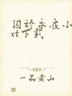 囚于永夜小说txt下载封面