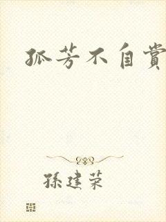 孤芳不自赏小说
