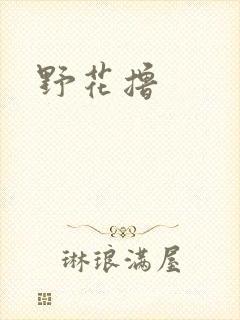 野花撸